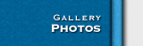 Gallery Photos